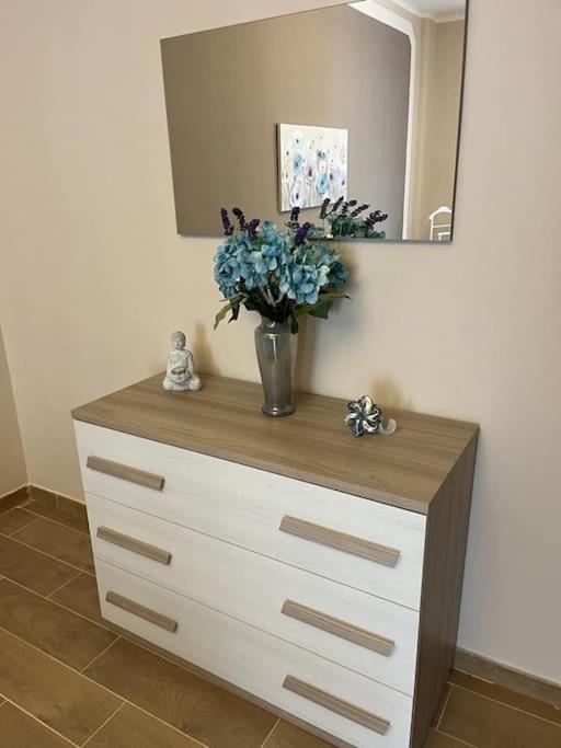 Attico Briccarello -Intero Appartamento- Elegant Suite With Free Wifi Near Inalpi Arena And Sporting Club Torino-Olimpyc Stadium المظهر الخارجي الصورة